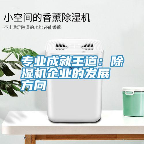 專業成就王道：除濕機企業的發展方向