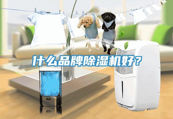 什么品牌除濕機(jī)好？