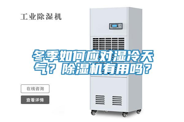 冬季如何應對濕冷天氣？除濕機有用嗎？