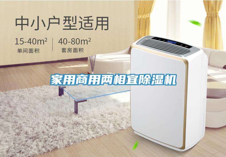 家用商用兩相宜除濕機