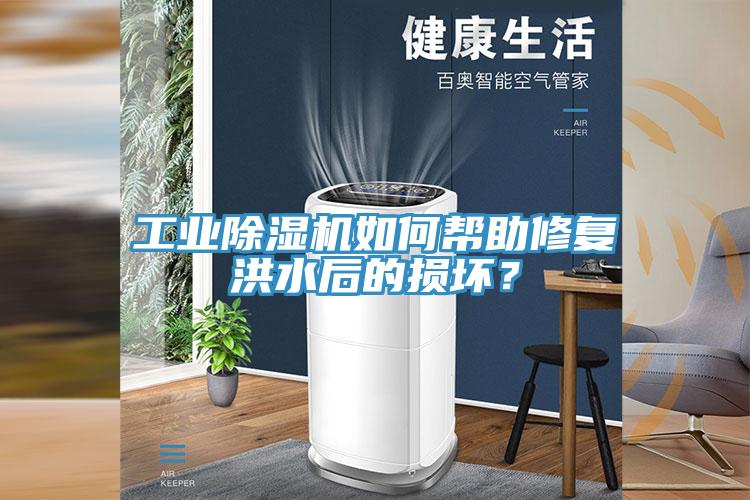 工業(yè)除濕機如何幫助修復洪水后的損壞？