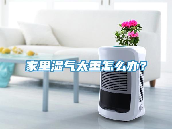 家里濕氣太重怎么辦？