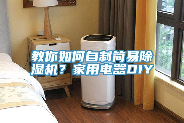 教你如何自制簡易除濕機？家用電器DIY