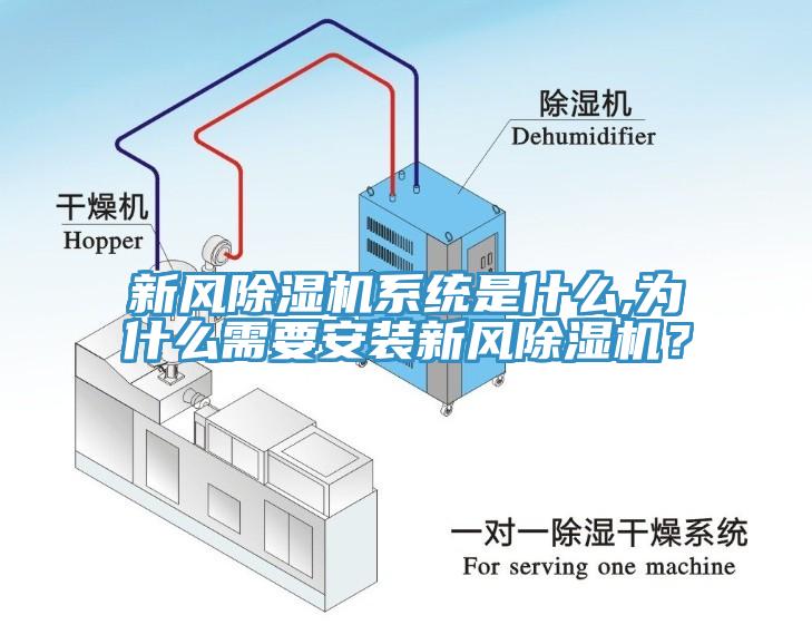 新風除濕機系統是什么,為什么需要安裝新風除濕機？