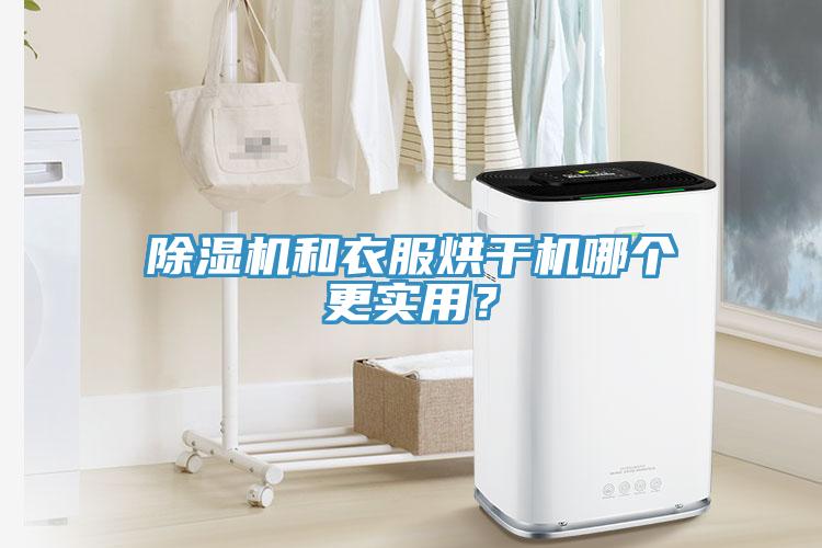 除濕機和衣服烘干機哪個更實用？