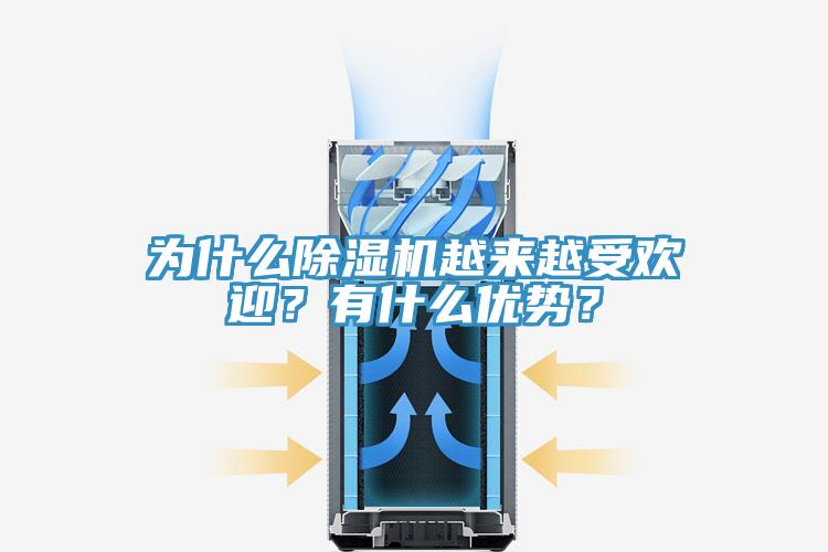 為什么除濕機越來越受歡迎？有什么優勢？