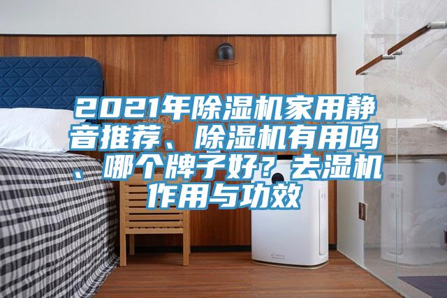 2021年除濕機(jī)家用靜音推薦、除濕機(jī)有用嗎、哪個(gè)牌子好？去濕機(jī)作用與功效