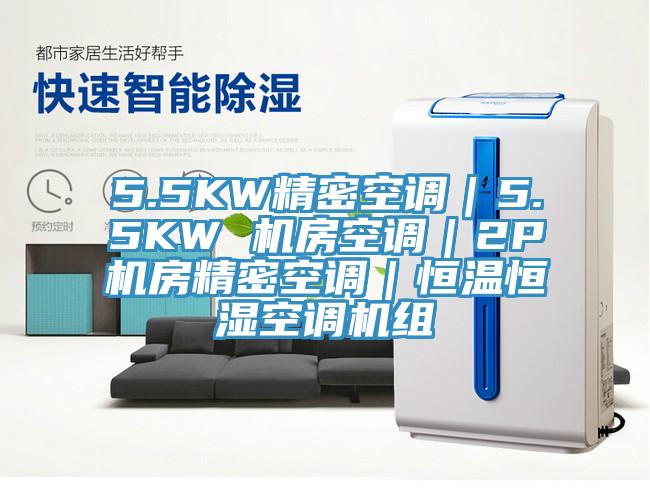 5.5KW精密空調｜5.5KW 機房空調｜2P機房精密空調｜恒溫恒濕空調機組