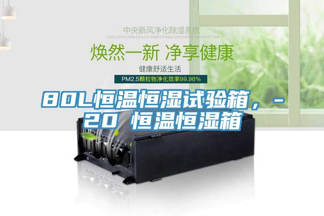 80L恒溫恒濕試驗箱，-20℃恒溫恒濕箱