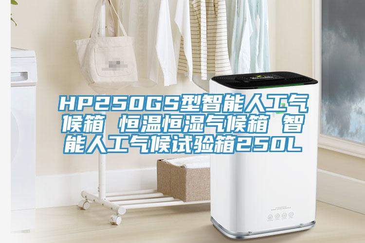 HP250GS型智能人工氣候箱 恒溫恒濕氣候箱 智能人工氣候試驗(yàn)箱250L