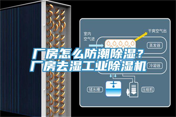 廠房怎么防潮除濕？廠房去濕工業除濕機