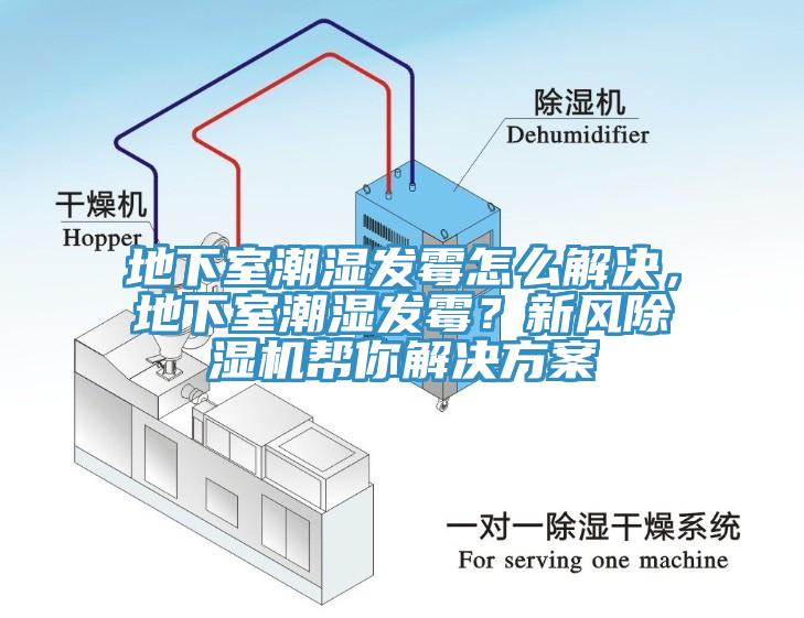 地下室潮濕發(fā)霉怎么解決，地下室潮濕發(fā)霉？新風除濕機幫你解決方案