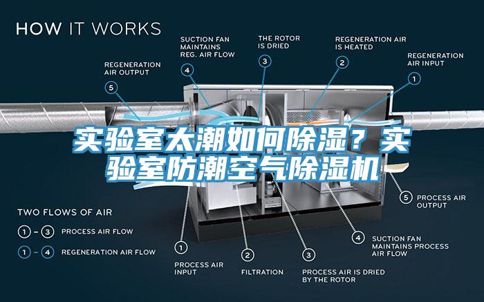 實驗室太潮如何除濕？實驗室防潮空氣除濕機