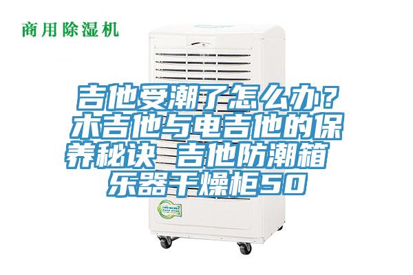 吉他受潮了怎么辦？木吉他與電吉他的保養秘訣 吉他防潮箱 樂器干燥柜50