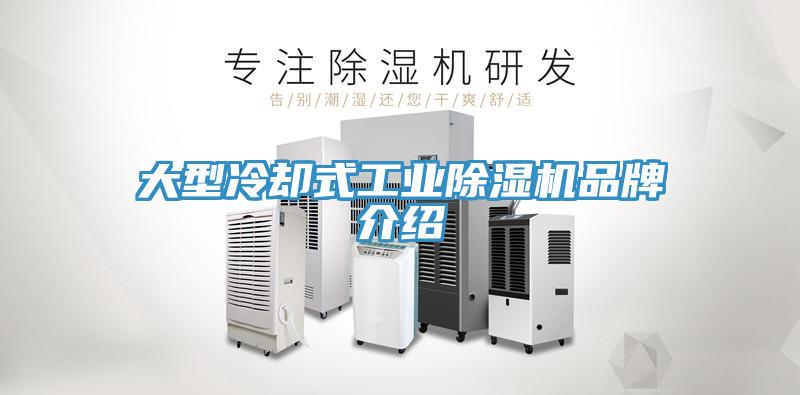 大型冷卻式工業除濕機品牌介紹