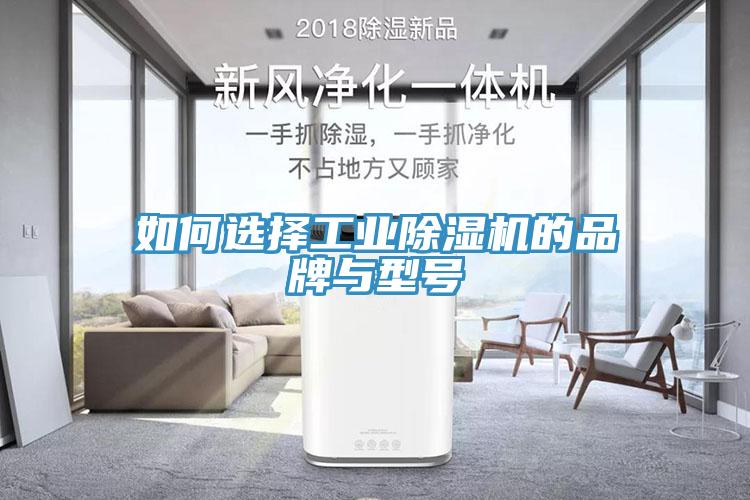 如何選擇工業(yè)除濕機(jī)的品牌與型號