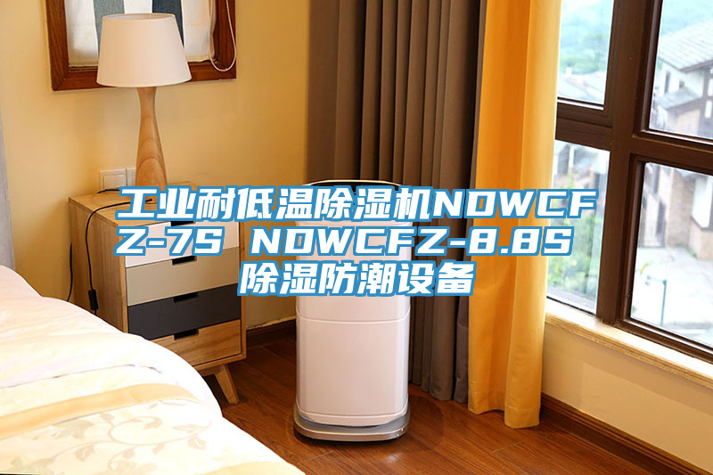 工業耐低溫除濕機NDWCFZ-7S NDWCFZ-8.8S 除濕防潮設備