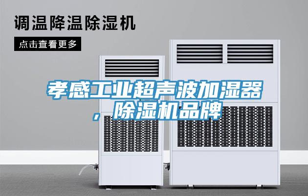 孝感工業超聲波加濕器，除濕機品牌