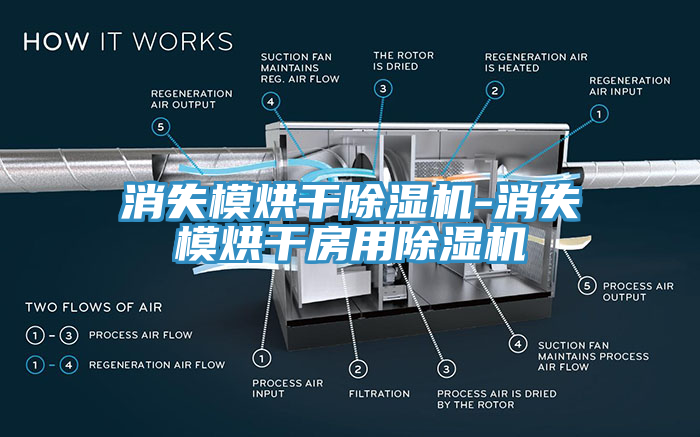 消失模烘干除濕機-消失模烘干房用除濕機