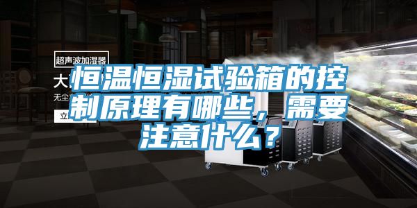 恒溫恒濕試驗(yàn)箱的控制原理有哪些，需要注意什么？