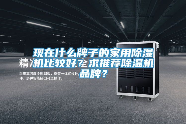 現在什么牌子的家用除濕機比較好？求推薦除濕機品牌？