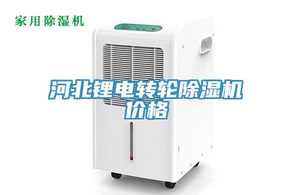 河北鋰電轉(zhuǎn)輪除濕機(jī)價格