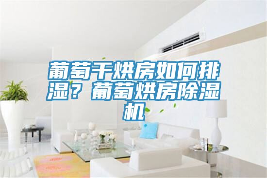 葡萄干烘房如何排濕？葡萄烘房除濕機