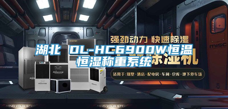 湖北 DL-HC6900W恒溫恒濕稱重系統