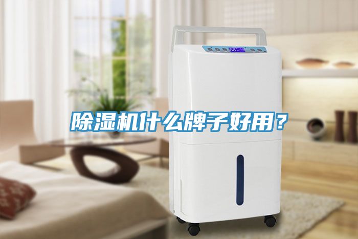 除濕機什么牌子好用？