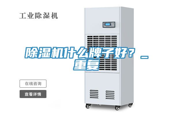 除濕機什么牌子好？_重復