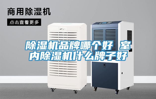 除濕機品牌哪個好 室內除濕機什么牌子好