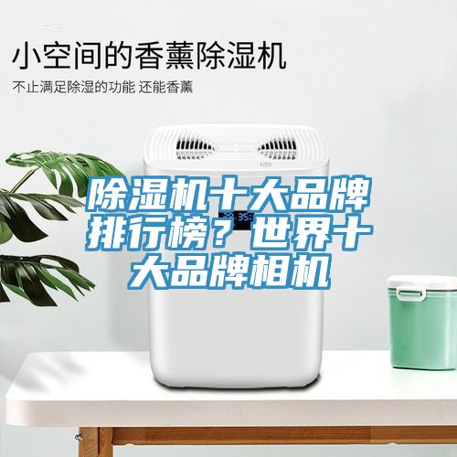 除濕機十大品牌排行榜？世界十大品牌相機