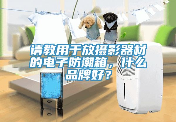 請教用于放攝影器材的電子防潮箱，什么品牌好？