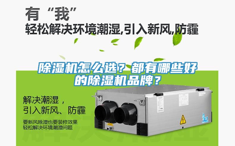 除濕機怎么選？都有哪些好的除濕機品牌？