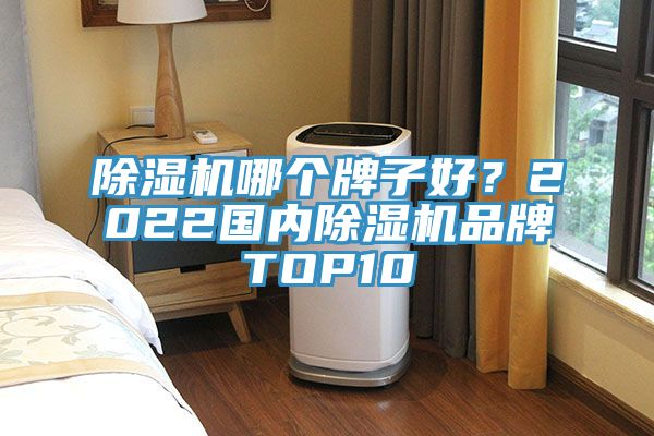 除濕機(jī)哪個牌子好？2022國內(nèi)除濕機(jī)品牌TOP10