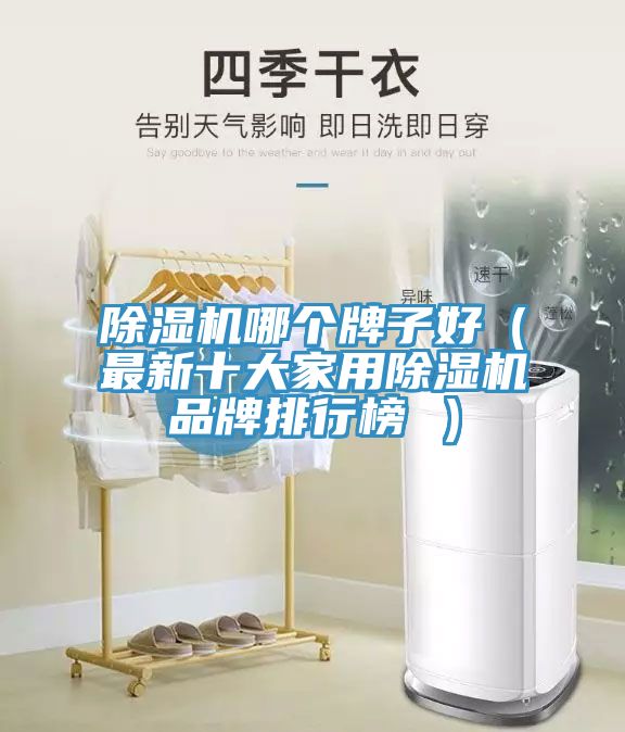 除濕機(jī)哪個牌子好（最新十大家用除濕機(jī)品牌排行榜 ）