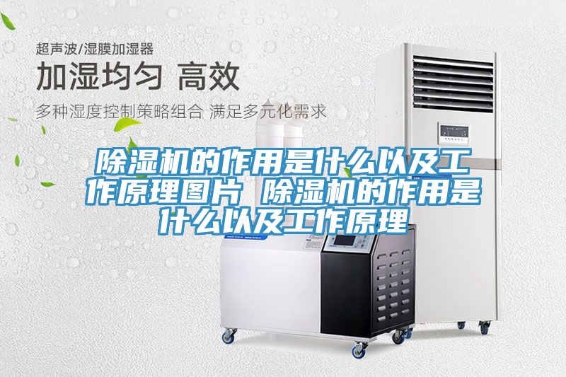 除濕機的作用是什么以及工作原理圖片 除濕機的作用是什么以及工作原理