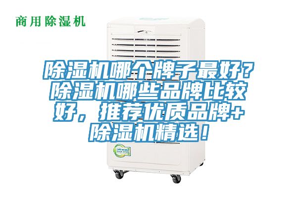 除濕機哪個牌子最好？除濕機哪些品牌比較好，推薦優質品牌+除濕機精選！