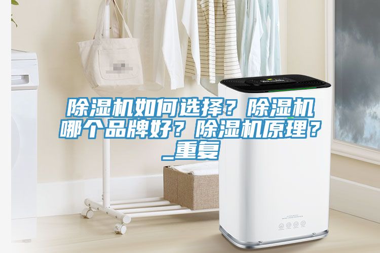 除濕機如何選擇？除濕機哪個品牌好？除濕機原理？_重復