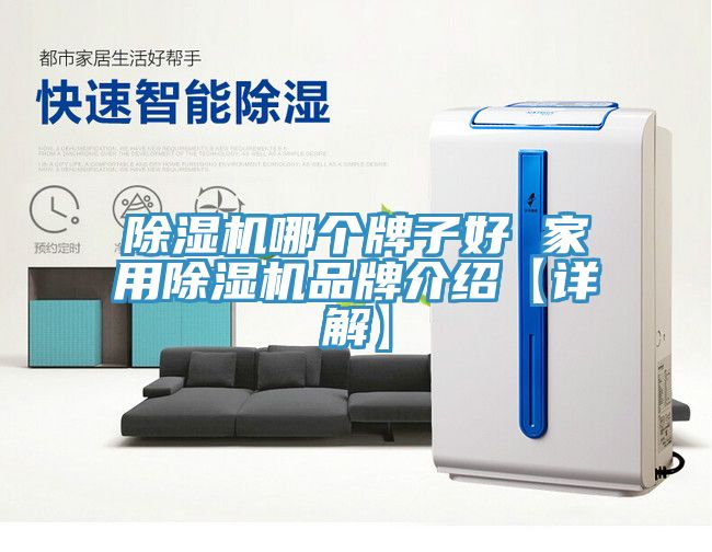 除濕機哪個牌子好 家用除濕機品牌介紹【詳解】